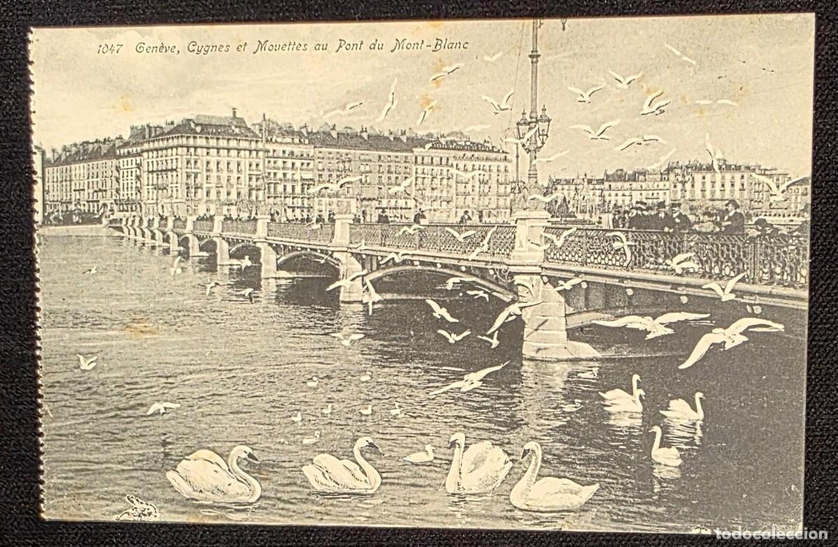 Postales: P.1026 Postal Antigua Gen&egrave;ve Cisnes y Gaviotas en Pont du Mont-Blanc Suiza