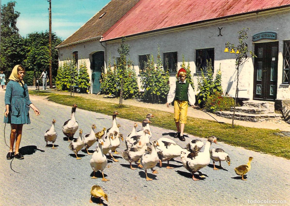 Postales: Tarjeta Postal de Escania, Suecia: Ni&ntilde;os con Reba&ntilde;o de Gansos