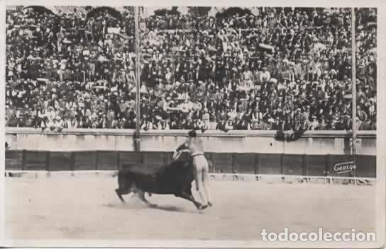 Postales: TOROS TOREROS SIN ESCRIBIR