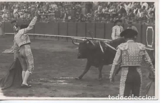 Postales: TOROS TOREROS SIN ESCRIBIR
