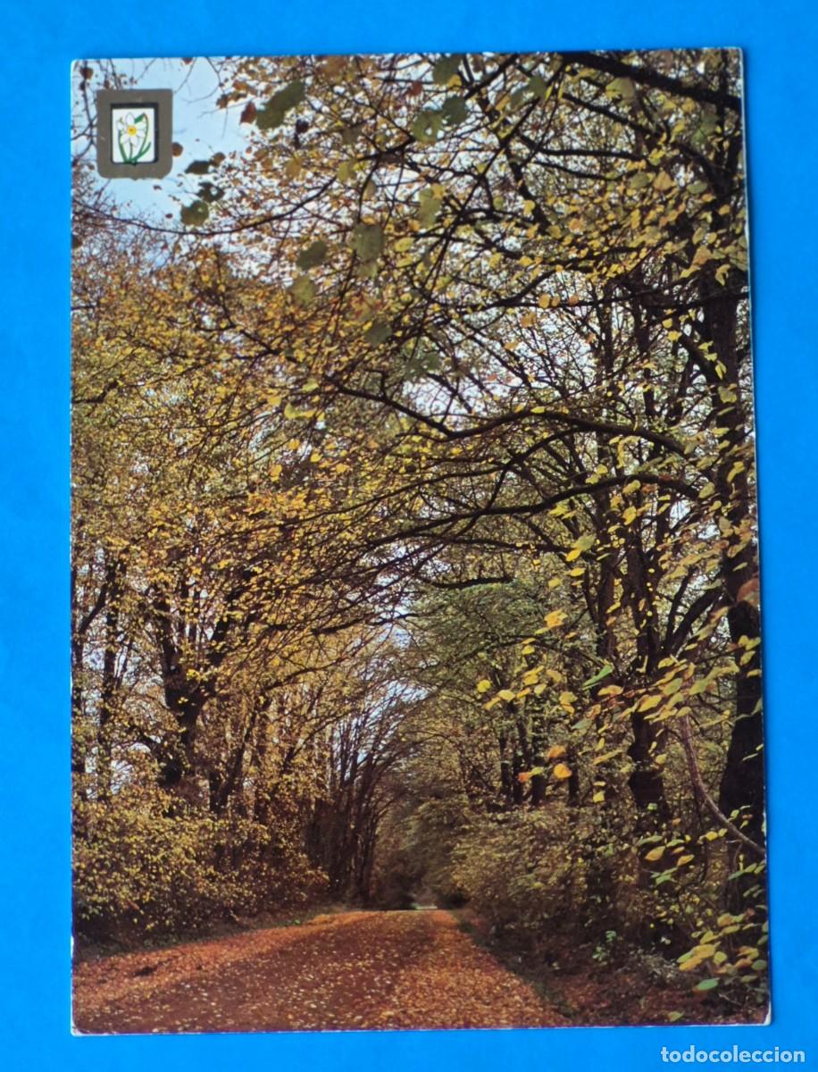 Postales: TARJETA POSTAL ESCUDO DE ORO-PRIMERA COLECCI&Oacute;N PAISAJES MONTA&Ntilde;A N&ordm; 17