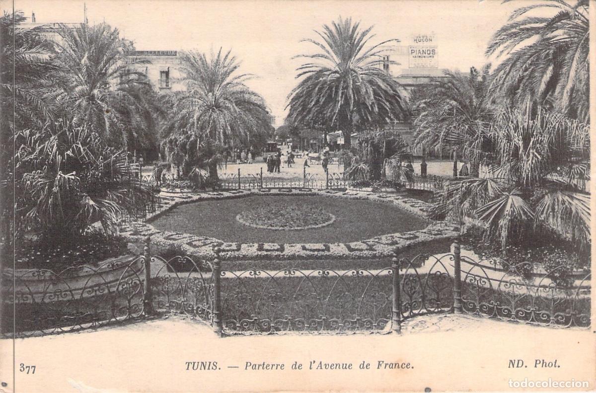 Postales: Postal de T&uacute;nez: Parterre de la Avenue de France