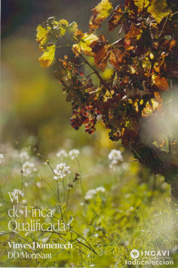 Postales: VI DE FINCA QUALIFICADA - CLOS MOGADOR - MEMORIA - DOQ PRIORAT - INCAVI