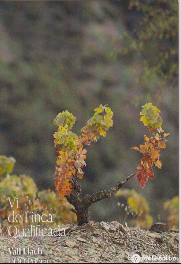 Postales: VI DE FINCA QUALIFICADA - VALL LLACH - MAS DE LA ROSA - ESTIMACI&Oacute; - DOQ PRIORAT - INCAVI
