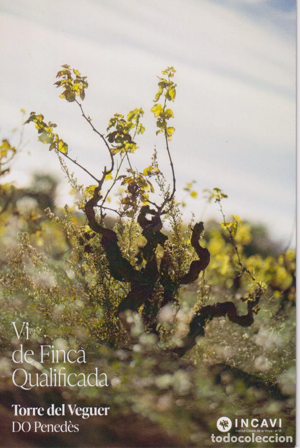 Postales: VI DE FINCA QUALIFICADA - TORRE DEL VEGUER - PERSIST&Egrave;NCIA - DO PENEDES - INCAVI