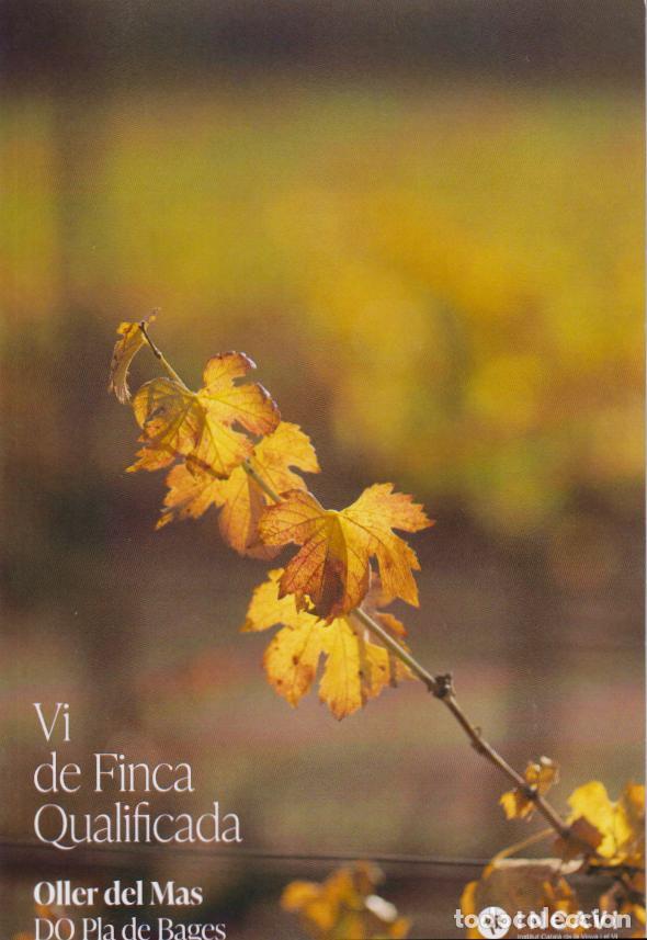 Postales: VI DE FINCA QUALIFICADA - OLLER DEL MAS - SENSIBILITAT - DO PLA DE BAGES - INCAVI