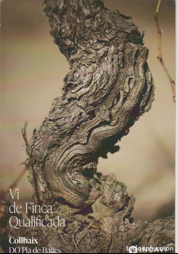Postales: VI DE FINCA QUALIFICADA - COLLBAIX - SUPERVIV&Egrave;NCIA - DO PLA DE BAGES - INCAVI