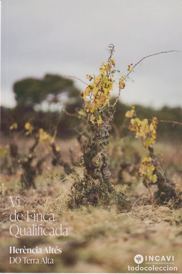 Postales: VI DE FINCA QUALIFICADA - HER&Egrave;NCIA ALT&Eacute;S - ARRELAMENT - DO TERRA ALTA - INCAVI