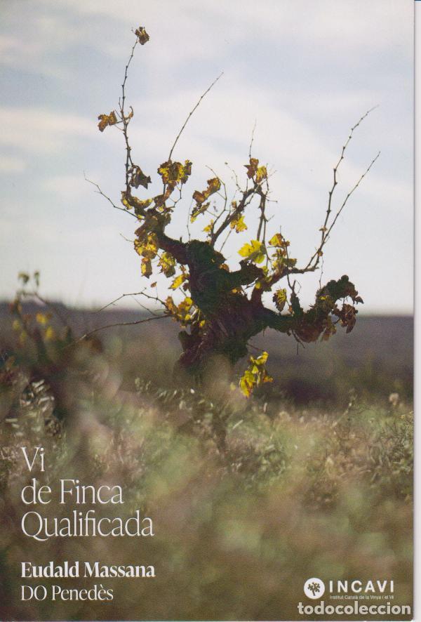 Postales: VI DE FINCA QUALIFICADA - EUDALD MASSANA - SENTIMENT - DO PENED&Egrave;S - INCAVI