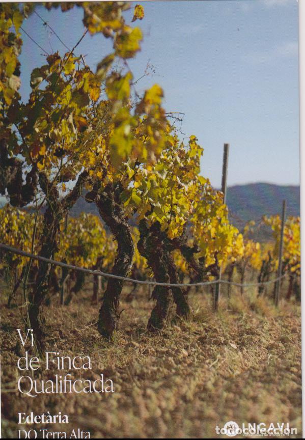 Postales: VI DE FINCA QUALIFICADA - EDET&Agrave;RIA - RIGOR - DO TERRA ALTA- INCAVI