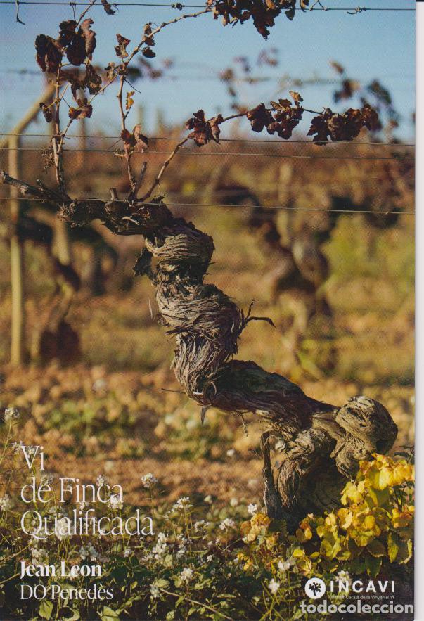 Postales: VI DE FINCA QUALIFICADA - JEAN LEON - VINYA PALAU - EQUILIBRI - DO PENED&Egrave;S- INCAVI