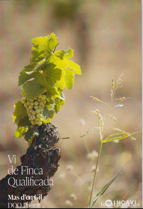 Postales: VI DE FINCA QUALIFICADA - MAS D'EN GIL - COMA BLANCA - MINERALITAT - DOQ PRIORAT - INCAVI