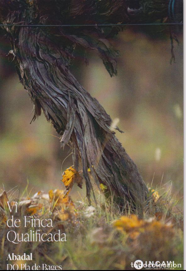 Postales: VI DE FINCA QUALIFICADA - ABADAL - PROFUNDITAT - DO PLA DE BAGES - INCAVI