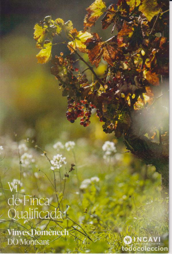 Postales: VI DE FINCA QUALIFICADA - VINYES DOM&Egrave;NECH - TEIXAR - CLOS FONT&Agrave; - RUSTICITAT - DO MONTSANT - INCAVI