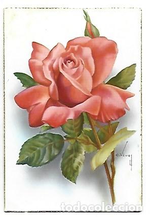Postales: FELICITACION CON ROSA - Foto 1