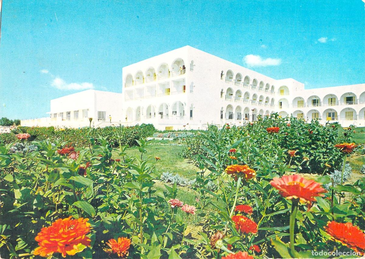 Postales: Postal Hotel Les Narcisses en Sillonville, Nabeul, T&uacute;nez