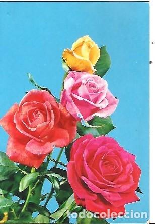 Postales: POSTAL A COLOTR C Y Z 6849 TEMA FLORES ROSAS