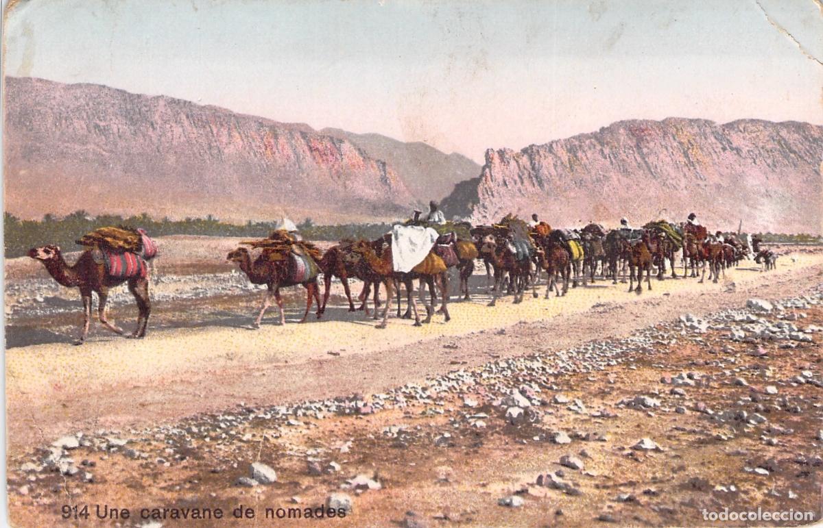 Postales: Postal de Caravana de N&oacute;madas con Camellos en el Desierto
