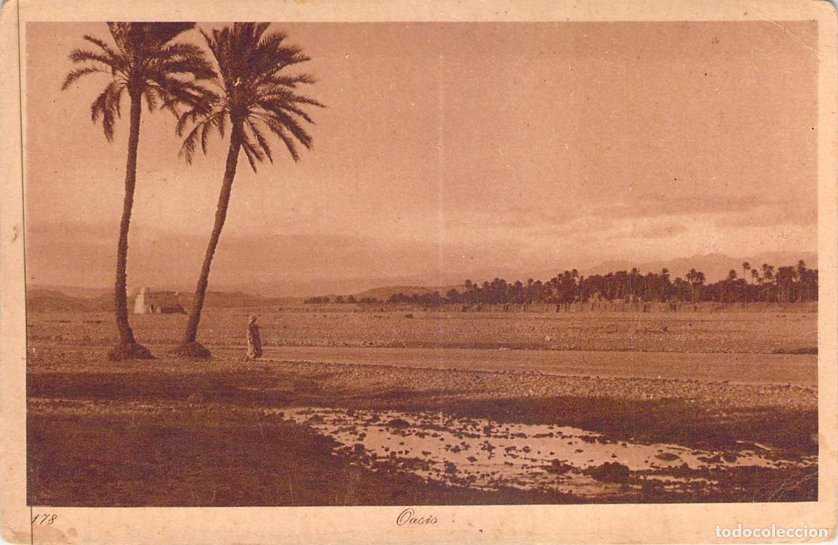 Postales: Postal de Paisaje de Oasis con Palmeras en el Desierto