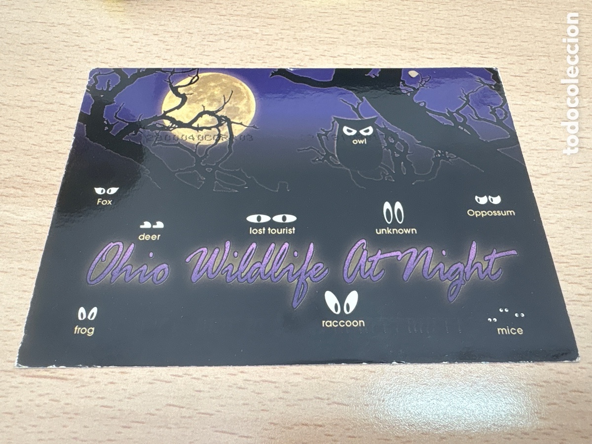 Postales: Postal b&uacute;ho. Ohio Wildlife at Night. Circulada a&ntilde;o 2000 USA. ASM