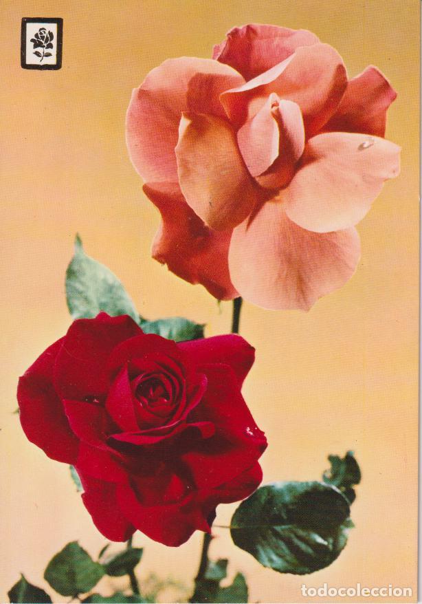 Postales: COLECCION FLORES SERIE A N&ordm;4 - ESCUDO DE ORO - S/C