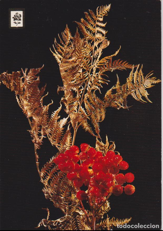 Postales: COLECCION FLORES SERIE F N&ordm;64 - ESCUDO DE ORO - S/C