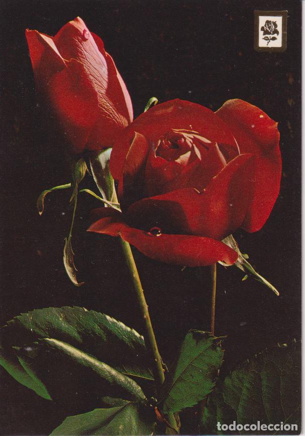 Postales: COLECCION FLORES SERIE 3093/2 - ESCUDO DE ORO - S/C