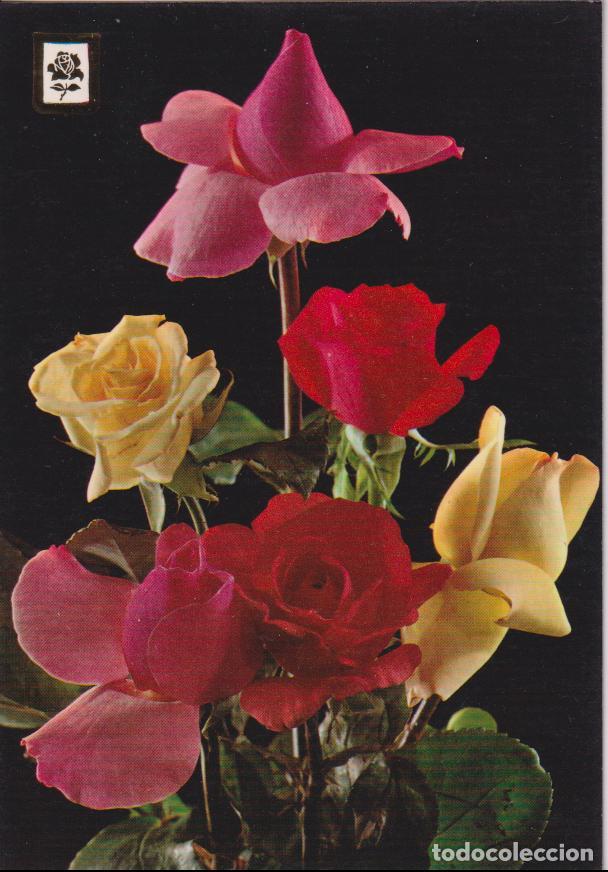 Postales: COLECCION FLORES SERIE 3096/1 - ESCUDO DE ORO - S/C