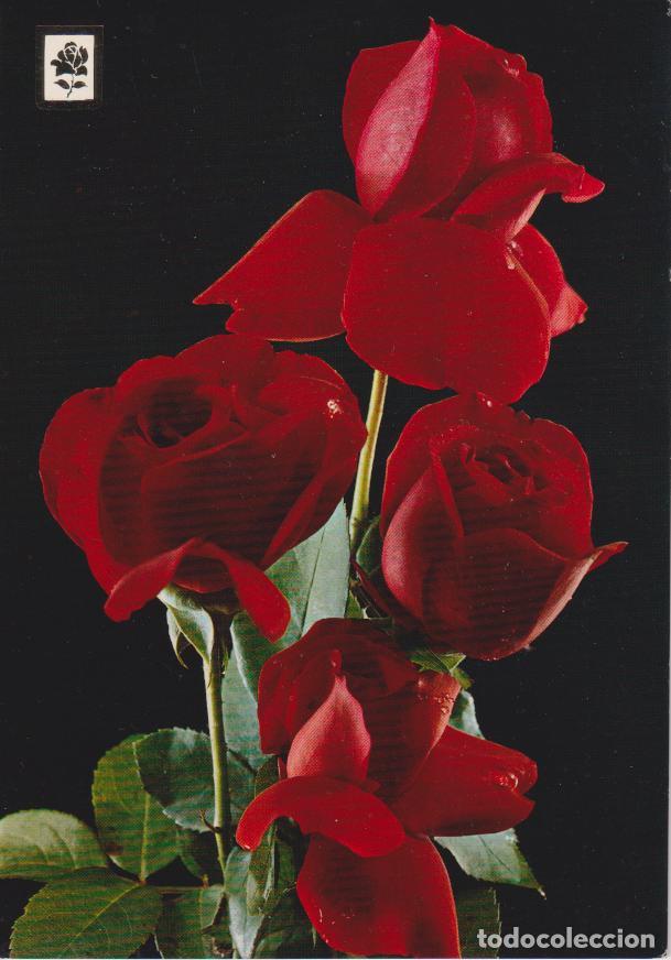 Postales: COLECCION FLORES SERIE I N&ordm;93 - ESCUDO DE ORO - S/C
