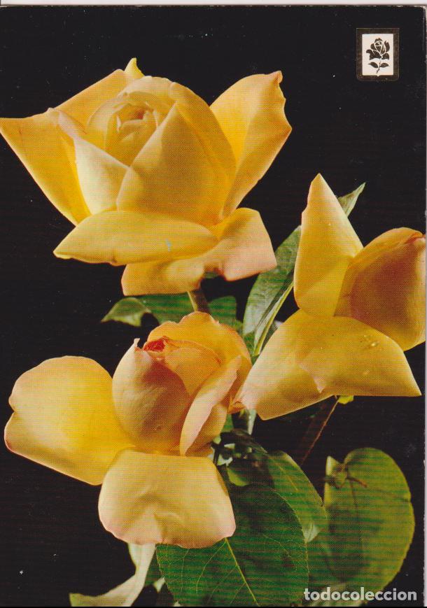 Postales: COLECCION FLORES SERIE I N&ordm;92 - ESCUDO DE ORO - S/C