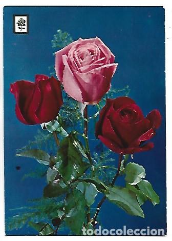 Postales: &rdquo; TRIO DE ROSAS &rdquo; - OFERTA DE PRIMAVERA, (OFERTA 3X2)