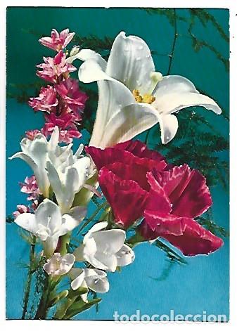 Postales: &rdquo; CENTRO DE FLORES &rdquo; - OFERTA DE PRIMAVERA, (OFERTA 3X2)