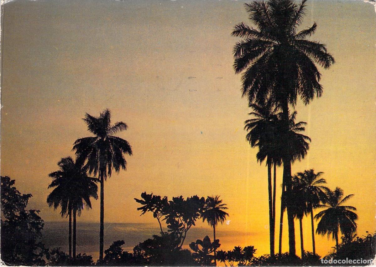 Postales: Postal de Puesta de Sol en la Reserva Natural de Abuko, Gambia