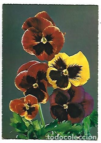 Postales: &rdquo; CENTRO DE PENSAMIENTOS &rdquo; - OFERTA DE PRIMAVERA, (OFERTA 3X2)