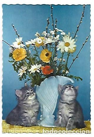 Postales: &rdquo; GATOS JUNTO A JARRON CON FLORES &rdquo; - OFERTA DE PRIMAVERA, (OFERTA 3X2)
