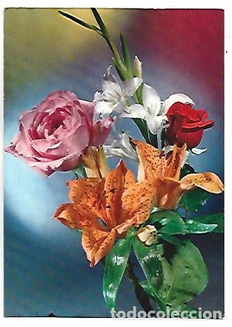 Postales: &rdquo; CENTRO CON FLORES &rdquo; - OFERTA DE PRIMAVERA, (OFERTA 3X2)