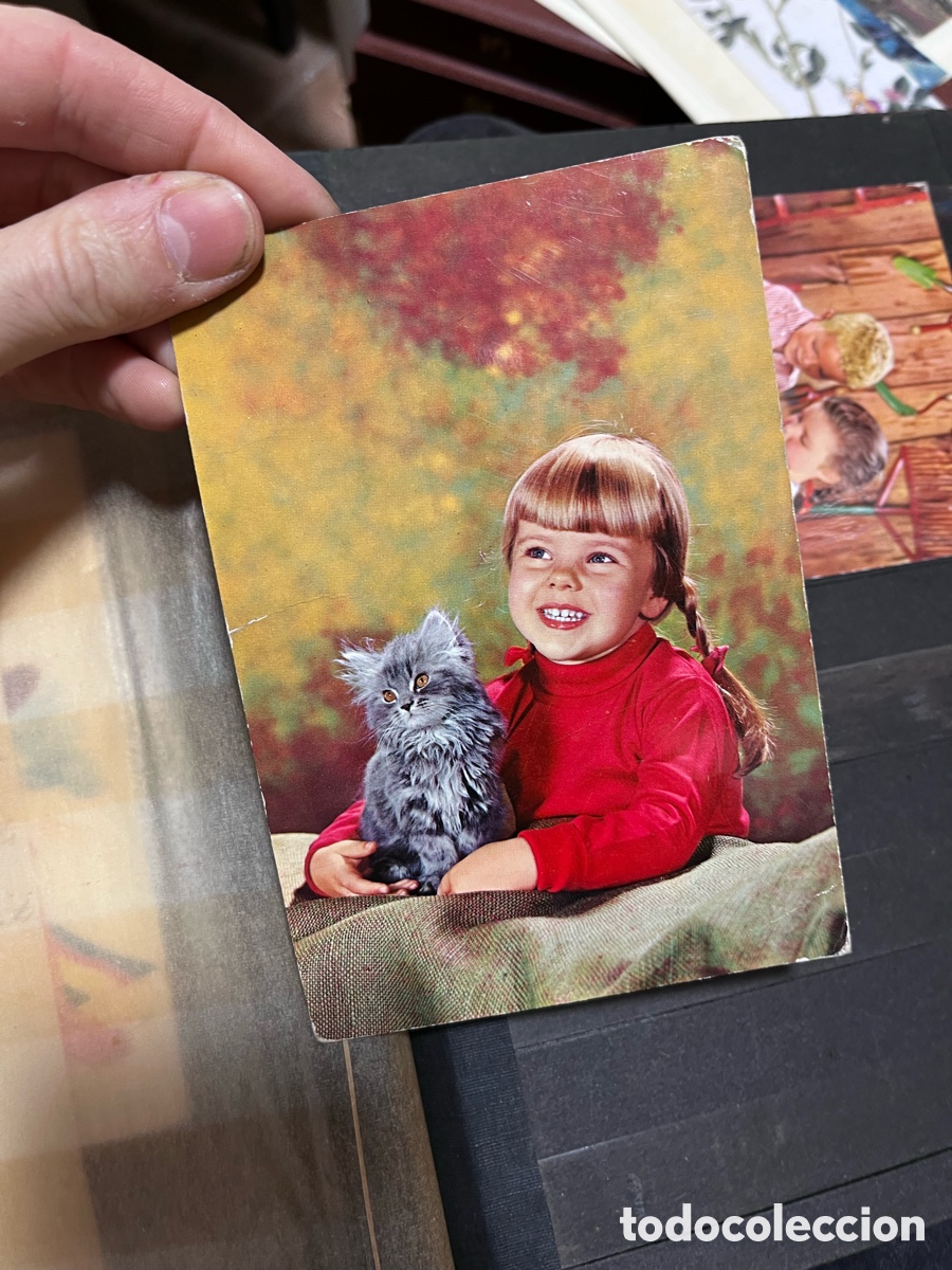 Postales: Antigua postal usada a&ntilde;os 60 ni&ntilde;a con gato