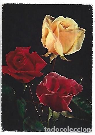 Postales: &rdquo; TRIO DE ROSAS &rdquo; - OFERTA DE PRIMAVERA, (OFERTA 3X2)