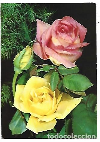 Postales: &rdquo; TRIO DE ROSAS &rdquo; - OFERTA DE PRIMAVERA, (OFERTA 3X2)