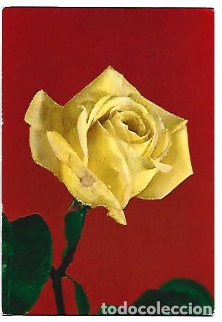 Postales: &rdquo; ROSA AMARILLA &rdquo; - OFERTA DE PRIMAVERA, (OFERTA 3X2)