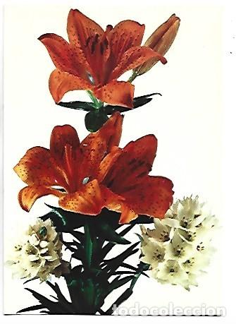 Postales: &rdquo; CENTRO DE LILIUMS &rdquo; - OFERTA DE PRIMAVERA, (OFERTA 3X2)