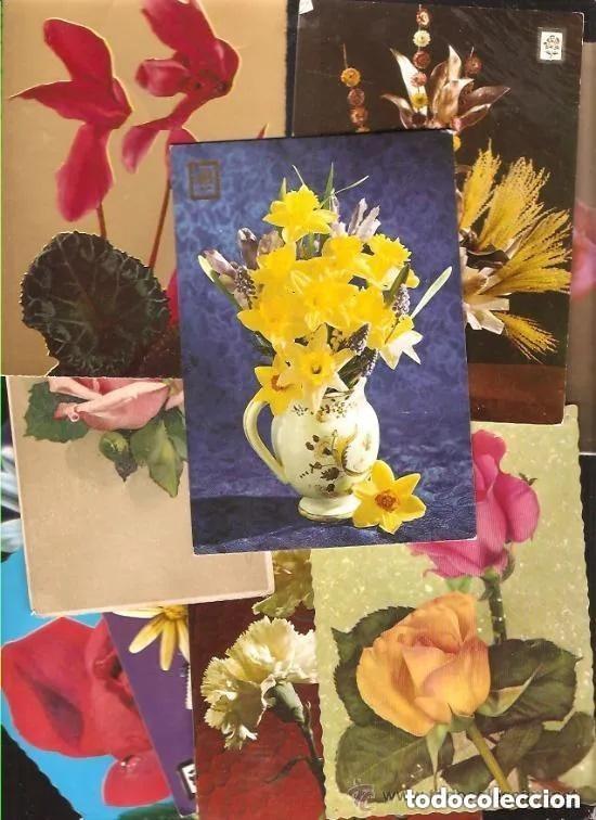 Postales: 10 POSTALES FLORES LOTE ---- DIFERENTES - Foto 1