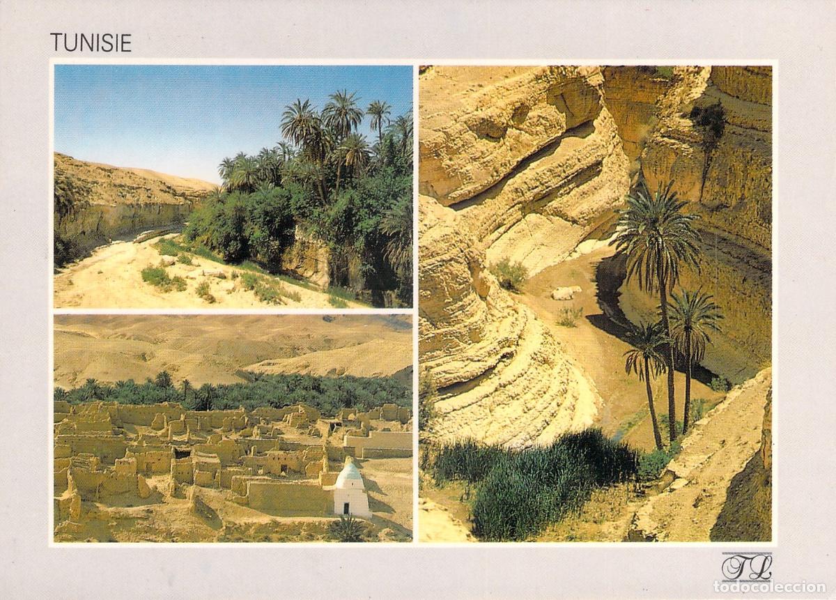 Cartes Postales: Postal de T&uacute;nez - Oasis de Monta&ntilde;a del J&eacute;rid, Multi-vista