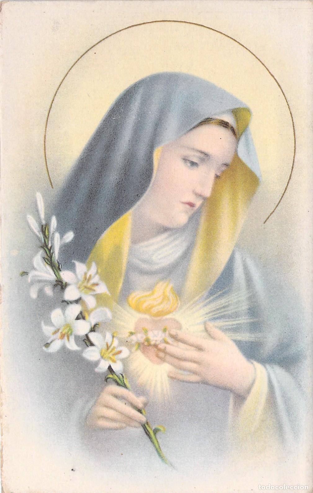 Postales: Postal de la Virgen Mar&iacute;a con el Inmaculado Coraz&oacute;n y Lirios - Foto 1