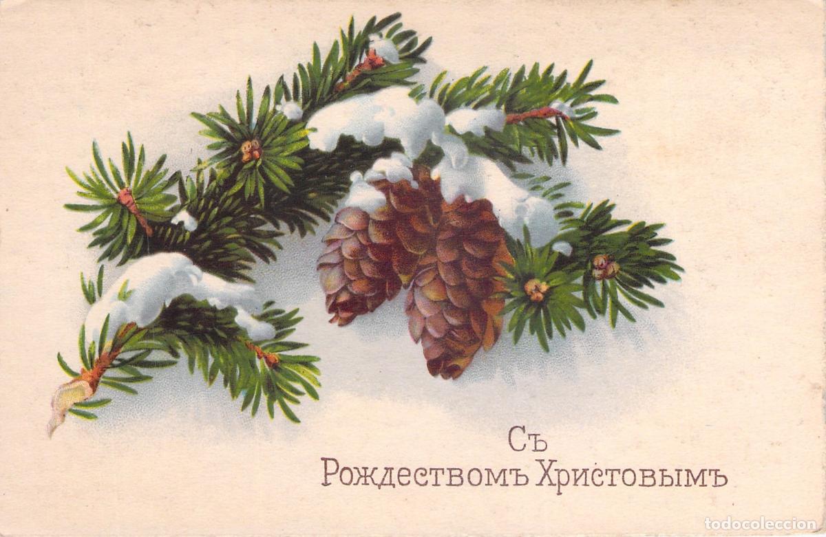 Postales: Postal de Navidad Rusa con Pi&ntilde;as y Ramas de Pino