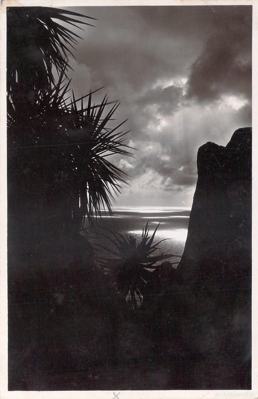 Postales: Postal de M&oacute;naco Jardines Ex&oacute;ticos Yucca y Aloes