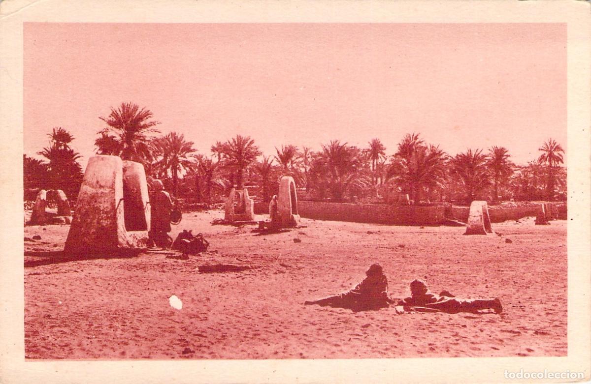 Postales: Postal de Ghardaia Argelia Palmeral y Jard&iacute;n Centenario