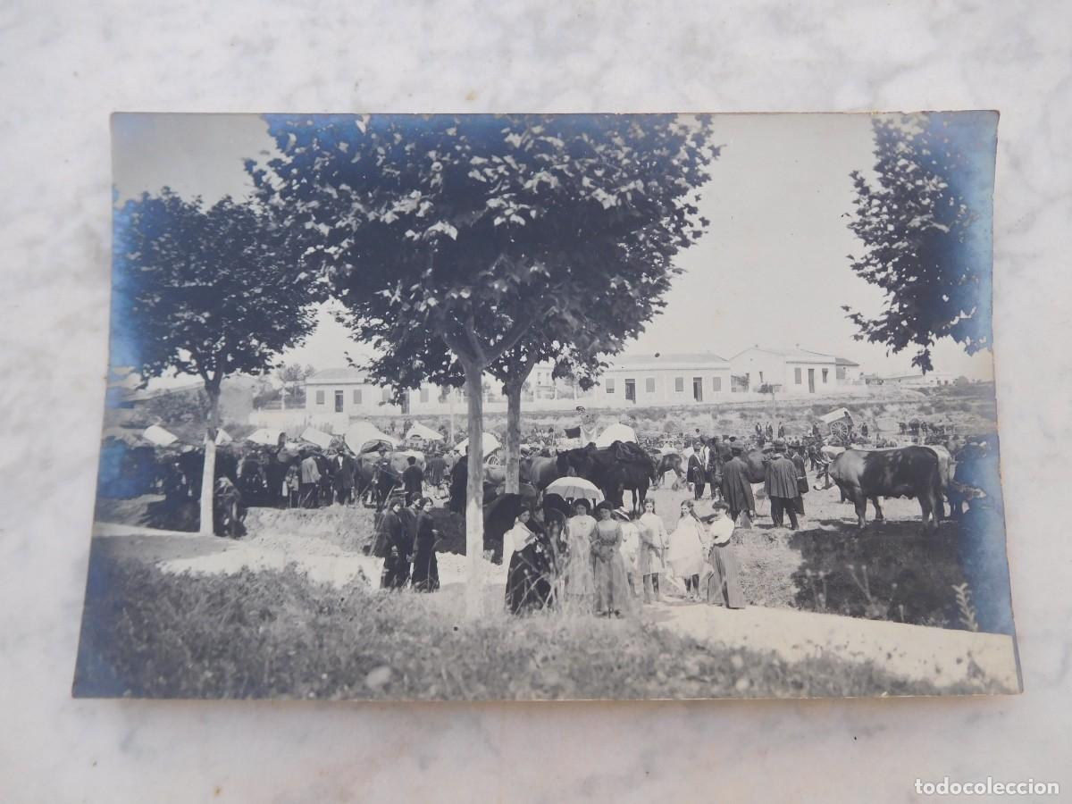Postales: Postal antigua. Feria de ganado? A identificar
