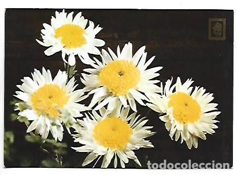 Postales: &rdquo; RAMO CON CENTRO CON FLORES &rdquo; - OFERTA DE PRIMAVERA, (OFERTA 3X2)