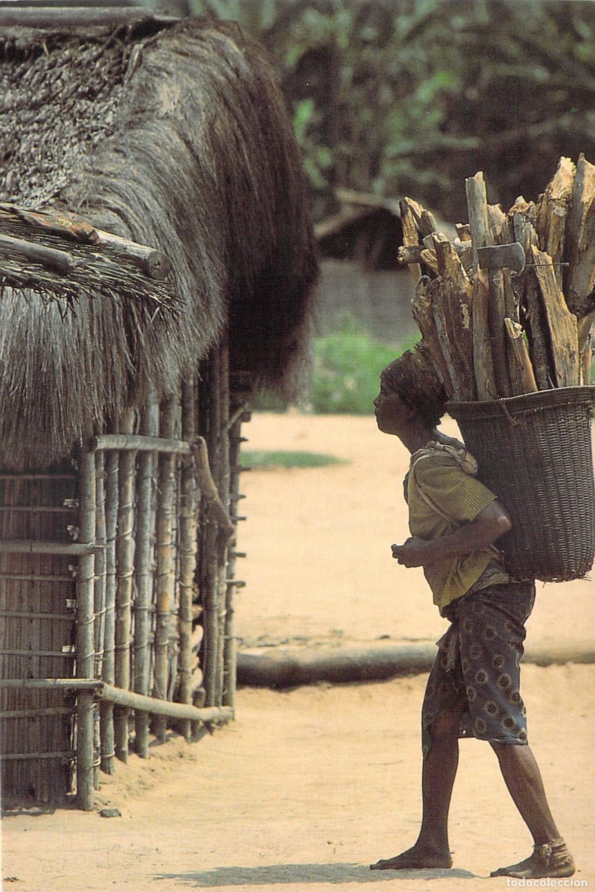 Postcards: Postal de Mujer Portadora de Le&ntilde;a en los Plateaux, Rep&uacute;blica del Congo